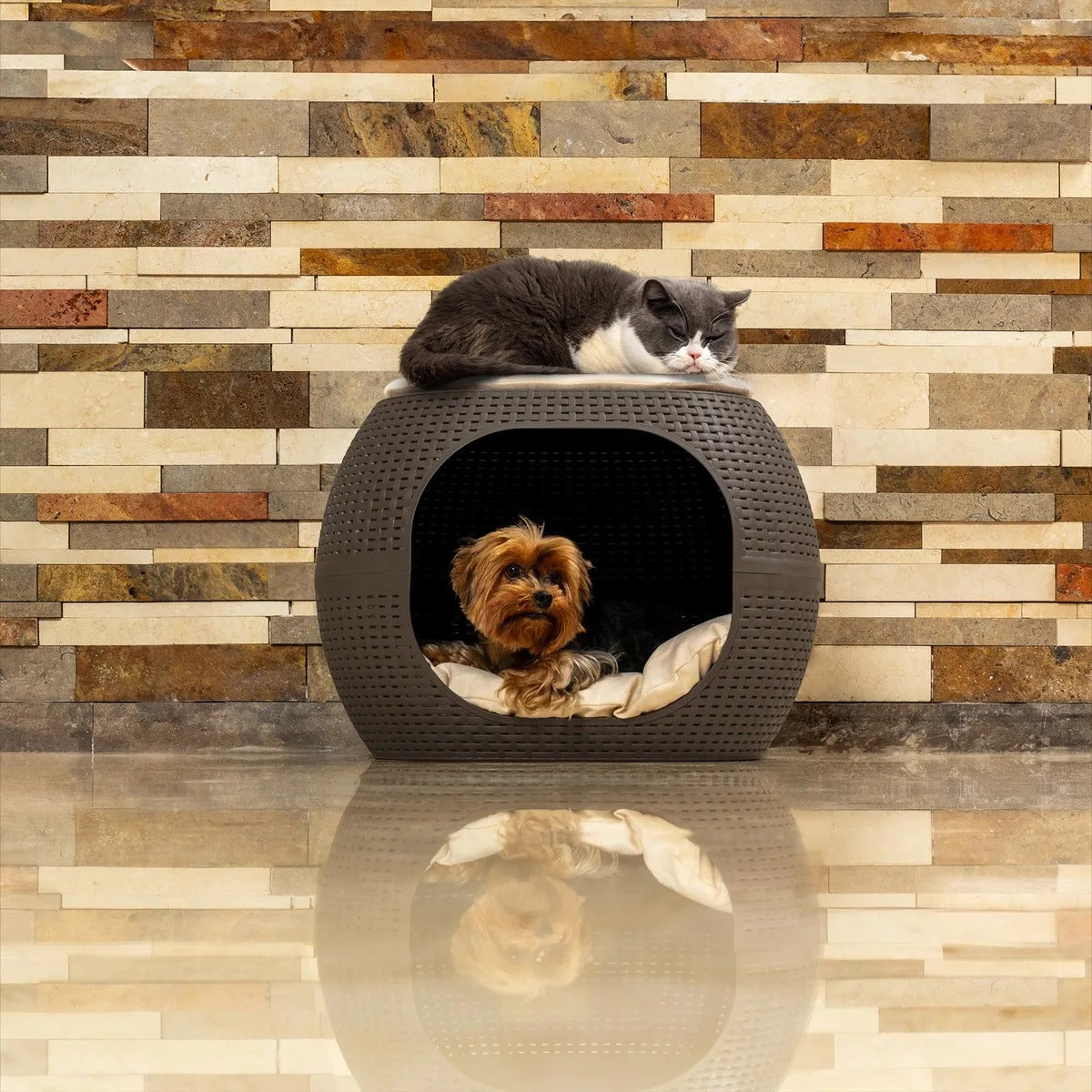 CAMA PARA PERRO/GATO 605-MOC