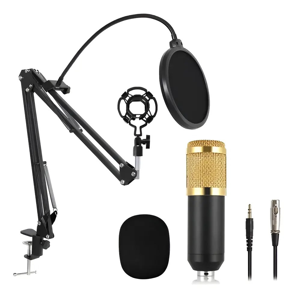 KIT MICRÓFONO CONDENSADOR SQ-W1211