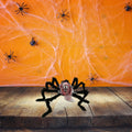 ARAÑA REALISTA CON CALAVERA 65CM