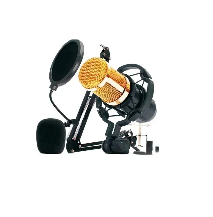 KIT MICRÓFONO CONDENSADOR SQ-W1211