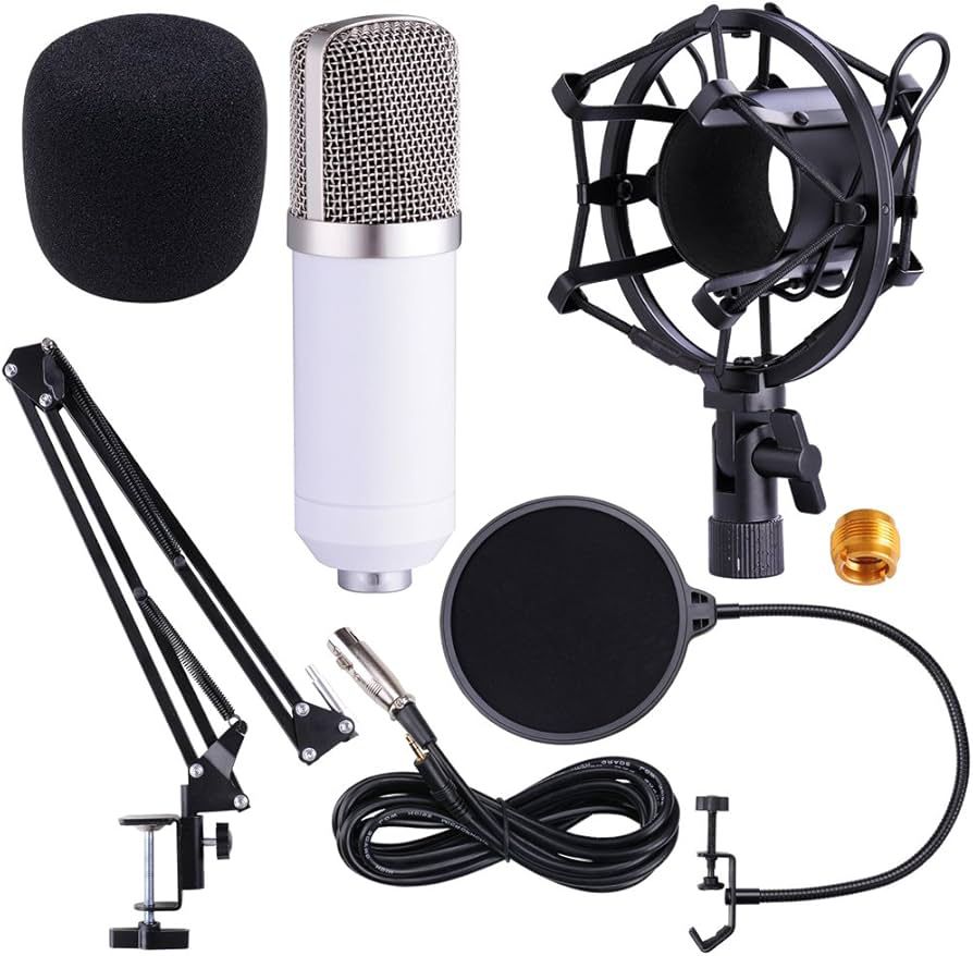 KIT DE MICROFONO BM - 800