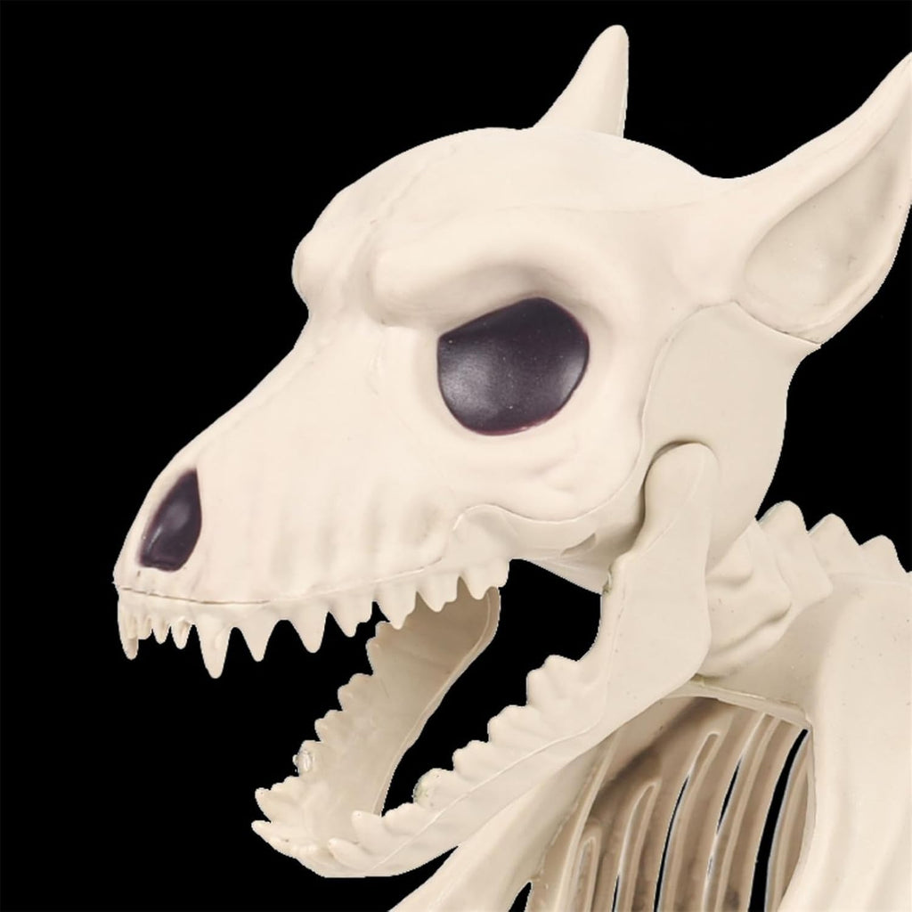 ERRO ESQUELETO 30×8.5×24 HALLOWEEN